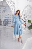 Elegant A-Line V-Neck Puffy Sleeves Short Evening Dress