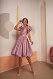 Short A-Line V-Neck Beading Belt Short Evening Dress