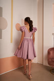 Short A-Line V-Neck Beading Belt Short Evening Dress