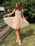 Lace Appliques Short Homecoming Dress Sweetheart Mini Prom Dress