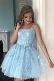 Short A-Line Lace Appliques Homecoming Dress Sexy Mini Prom Dress