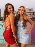 Spaghetti Straps Light Blue Sheath Short Homecoming Dress With Appliques